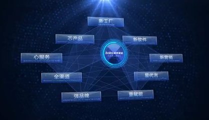 柏克家居全国营销总监吴小星: