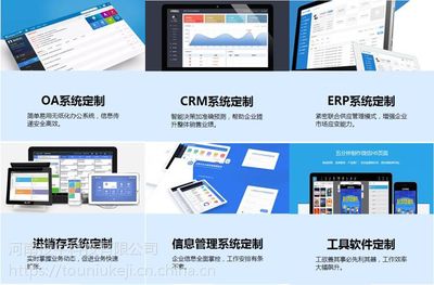 信息化软件定制(erp、crm、oa系统、进销存、工具软件)