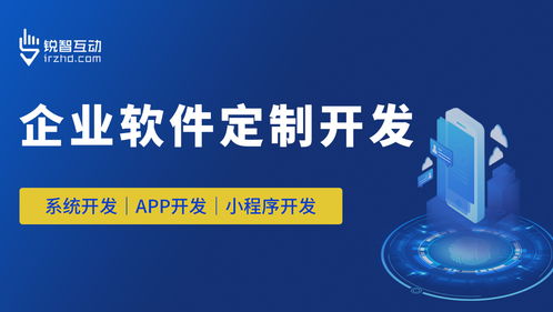 应标软件外包怎么做 锐智互动