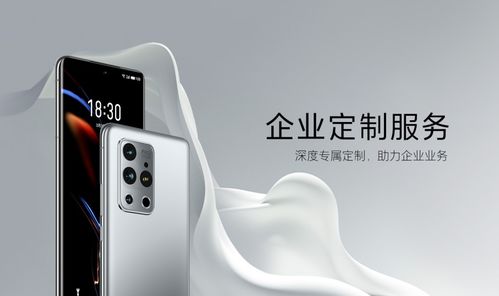 魅族企业服务正式上线 可深度定制产品与软件等